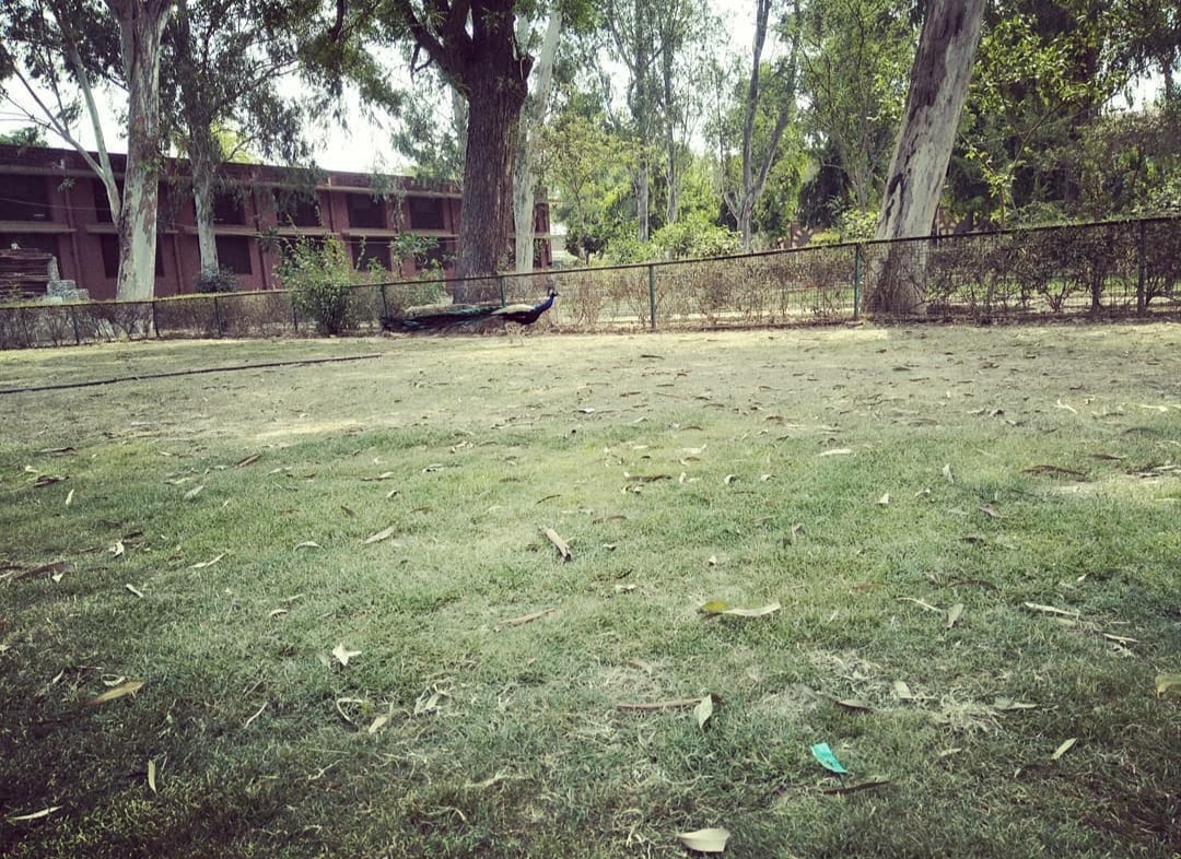 DEI Campus photo 13